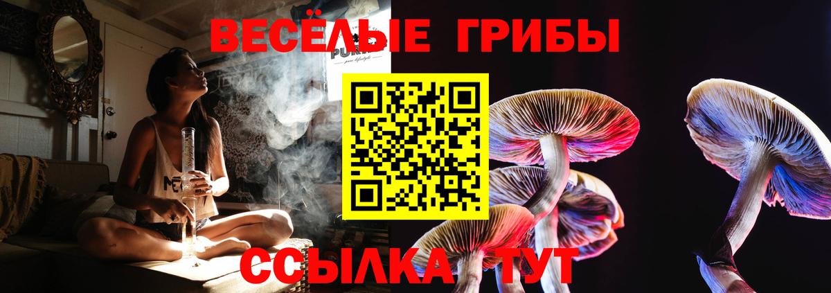 Янаул  Псилоцибиновые грибы мухоморы  Вход с VPN 